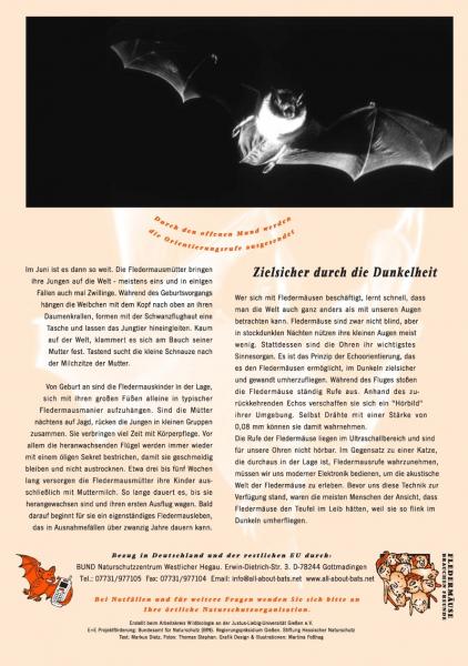 Flyer Fledermäuse - soziale Flugakrobaten (Seite 2)